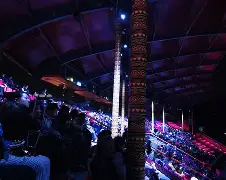 TL前途光明!,蒂姆新星战术调整表现突出观众掌声雷动 TL前途光明!,蒂姆新星战术调整表现突出观众掌声雷动